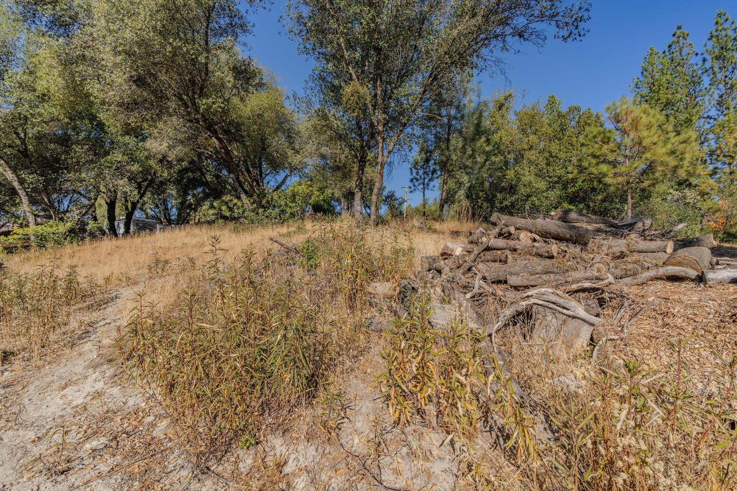 5793 Forest Lake Road Diamond Springs, CA 95619 - Photo 13 of 27 a view of a yard with a tree