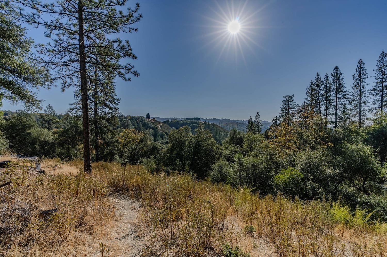 5793 Forest Lake Road Diamond Springs, CA 95619 - Photo 14 of 27 a view of a yard with a tree