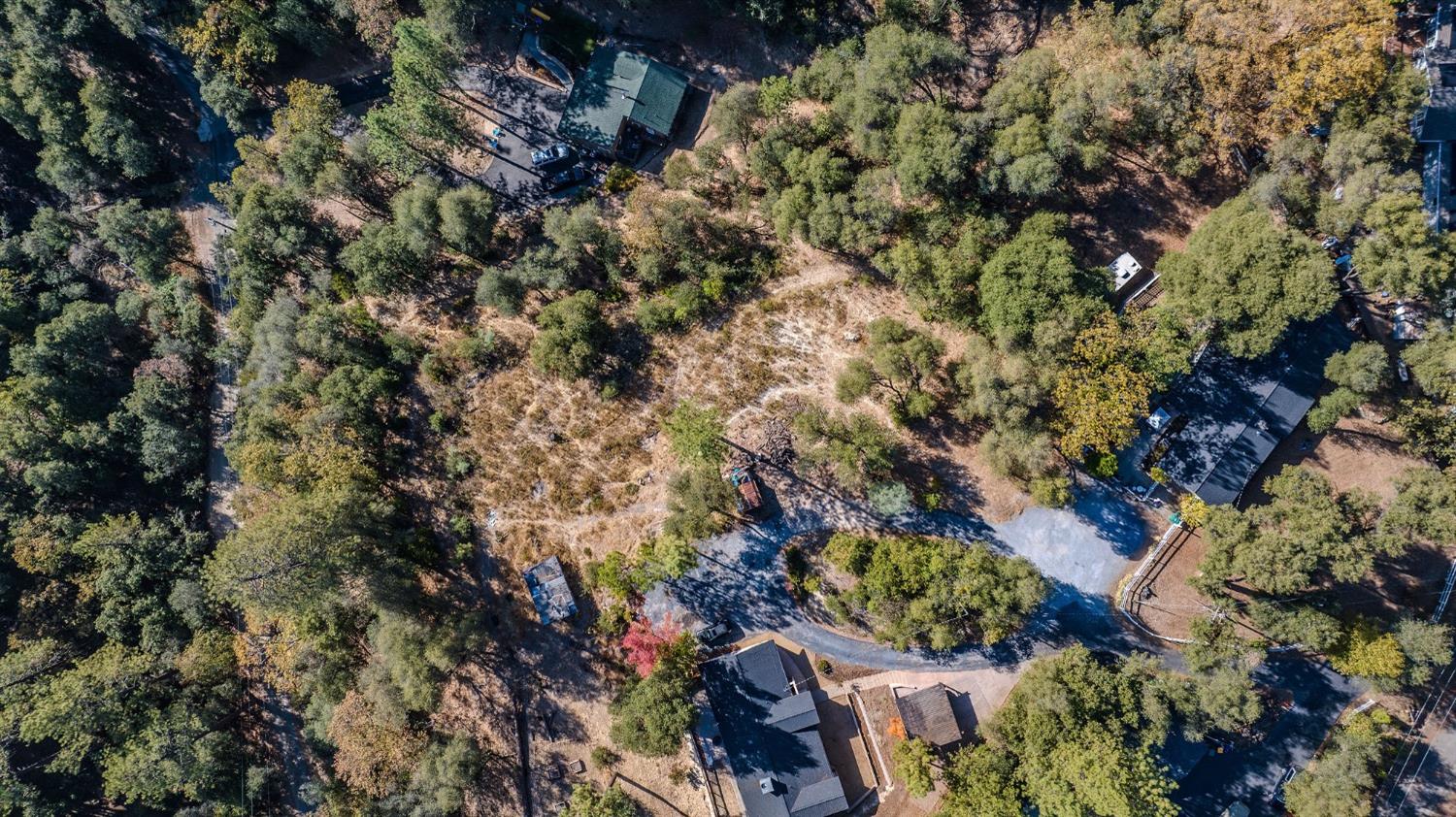 5793 Forest Lake Road Diamond Springs, CA 95619 - Photo 16 of 27 a picture of tree