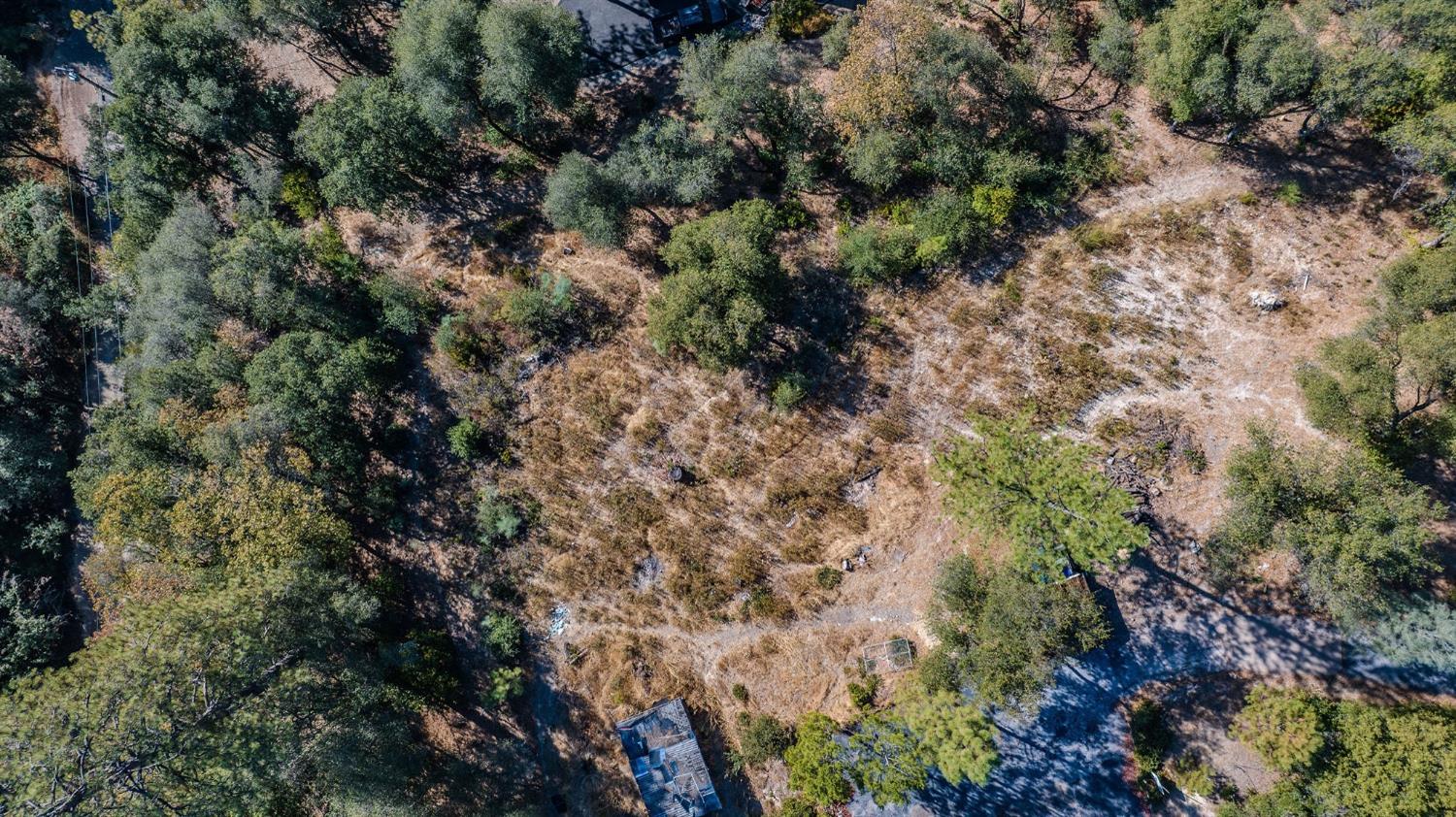5793 Forest Lake Road Diamond Springs, CA 95619 - Photo 19 of 27 a view of a yard with plants and trees