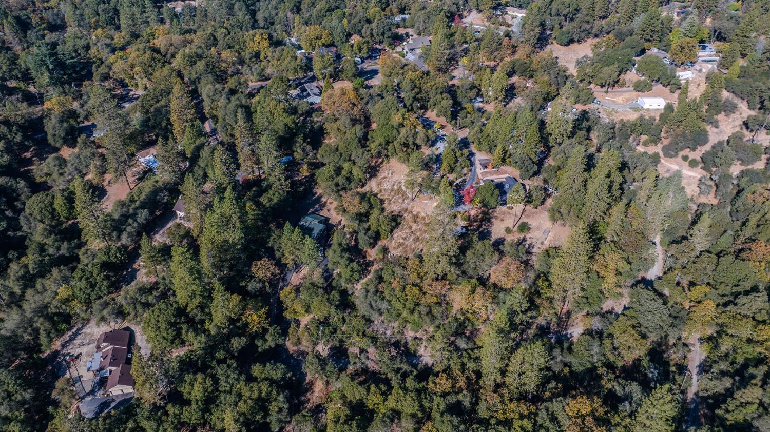 5793 Forest Lake Road Diamond Springs, CA 95619 - Photo 21 of 27 a view of a forest