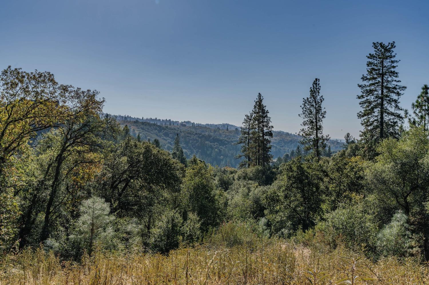 5793 Forest Lake Road Diamond Springs, CA 95619 - Photo 8 of 27 a view of a houses with a yard