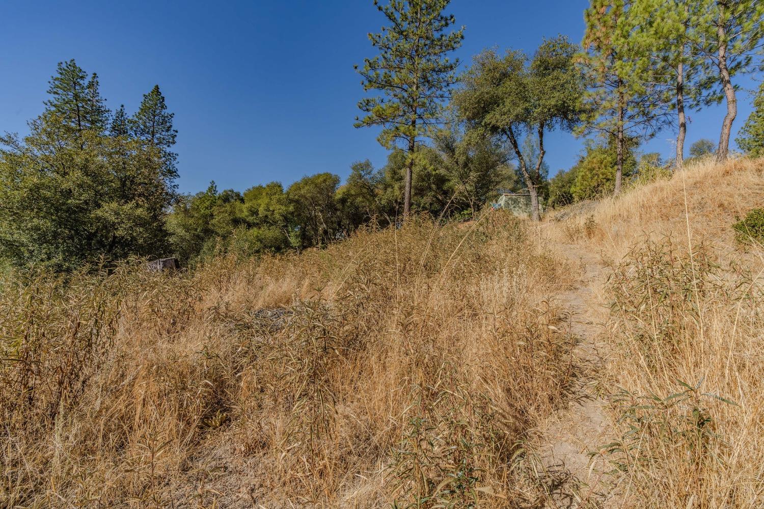 5793 Forest Lake Road Diamond Springs, CA 95619 - Photo 10 of 27 a view of a yard