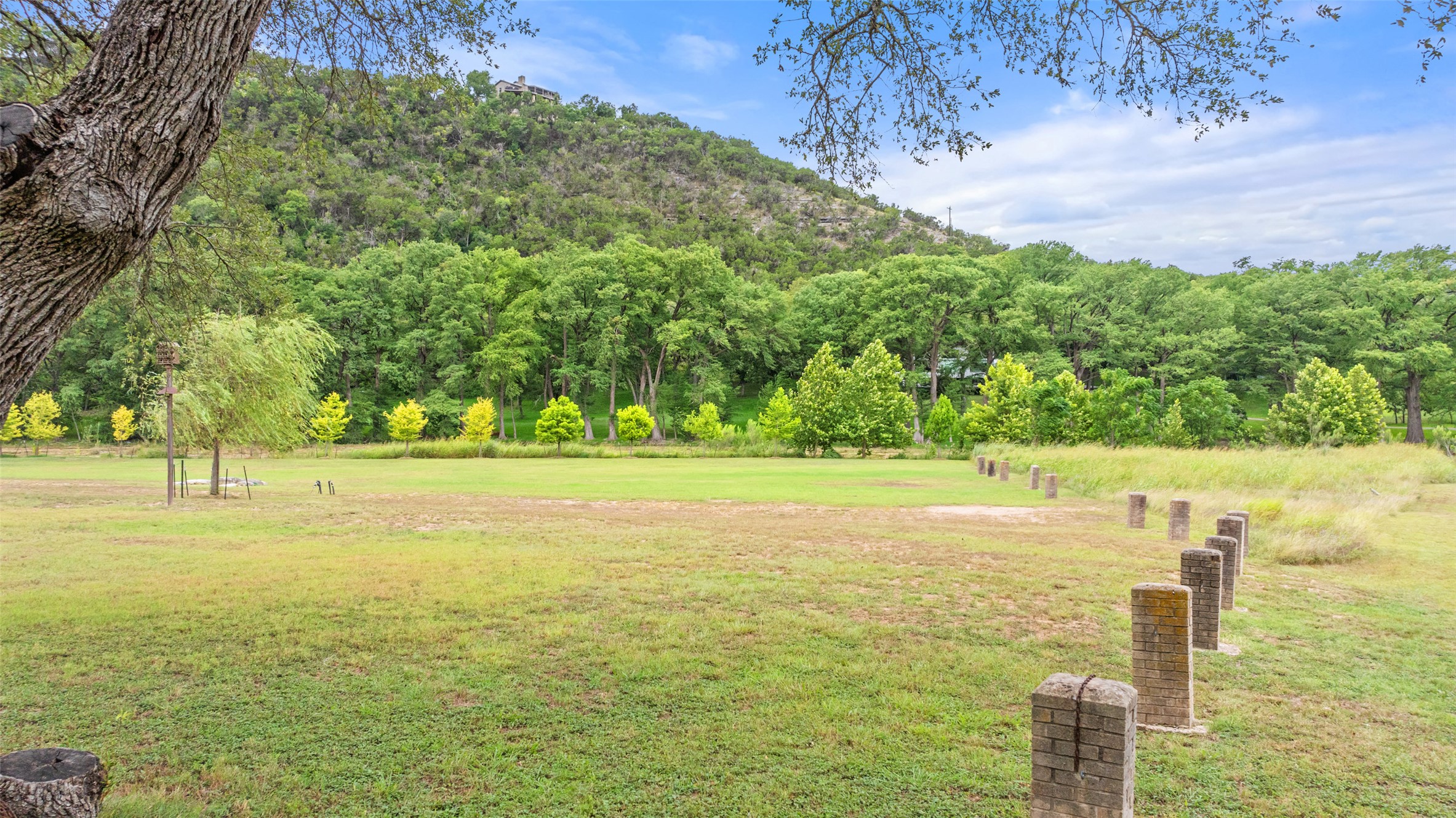 200 Rim Road Wimberley, TX 78676 - Photo 16 of 25 a view of yard with large tree