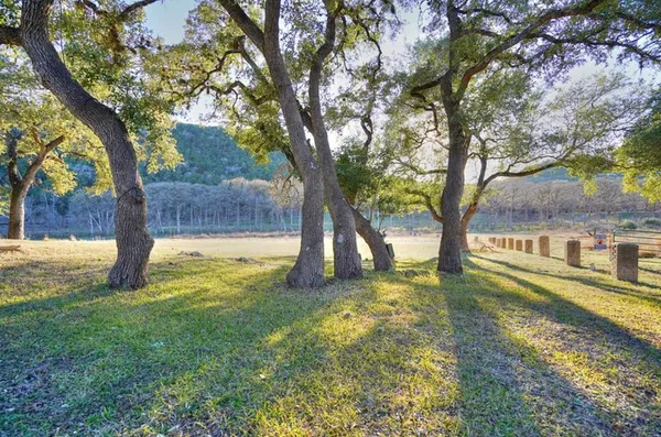 a view of yard with tree s