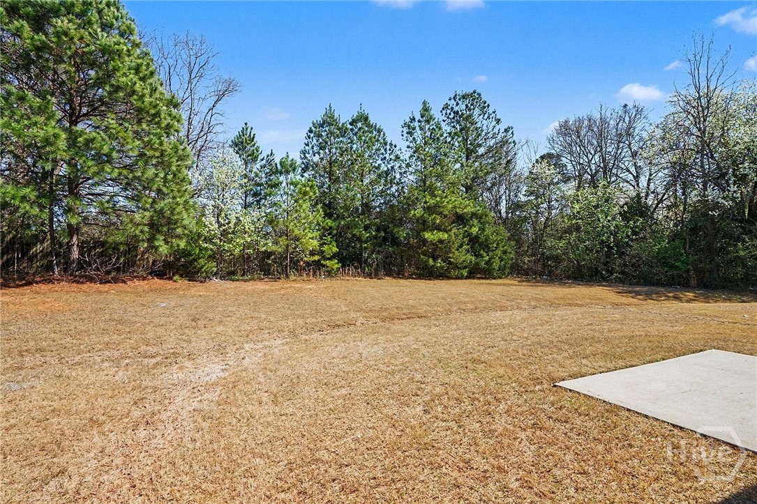 132 Brockett Drive Athens, GA 30607 - Photo 28 of 41