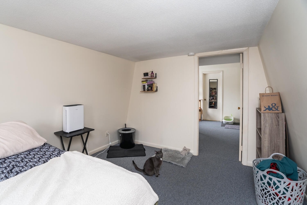 11 Plumtree Road Sunderland, MA 01375 - Photo 21 of 42