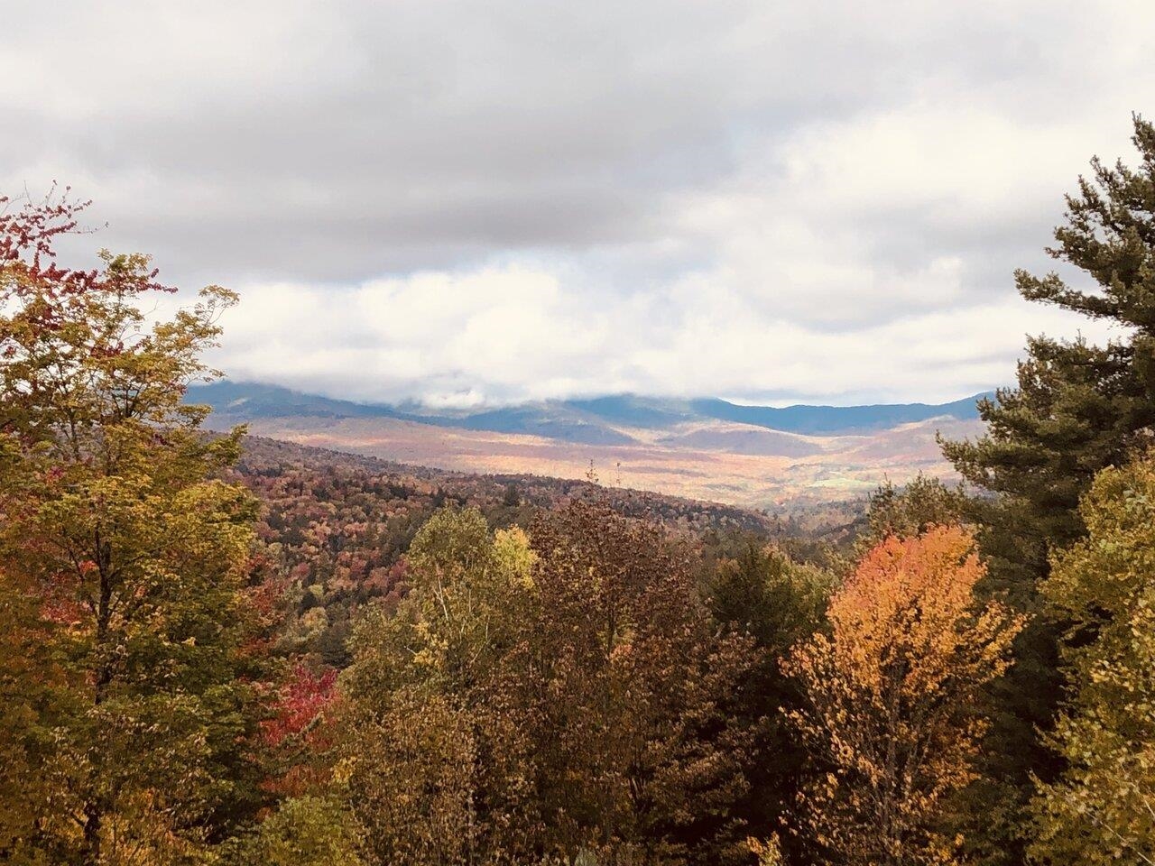 81 Gould Hill Road Worcester, VT 05682 - Photo 29 of 40