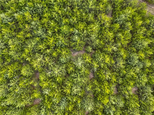 $850,000 | 22640 West 119th Street, Olathe, KS 66061