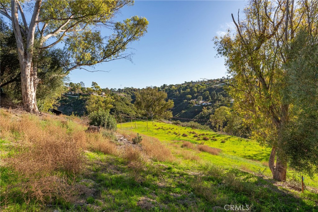 80 Saddleback Road Rolling Hills, CA 90274 - Photo 35 of 43 a view of a yard with a tree