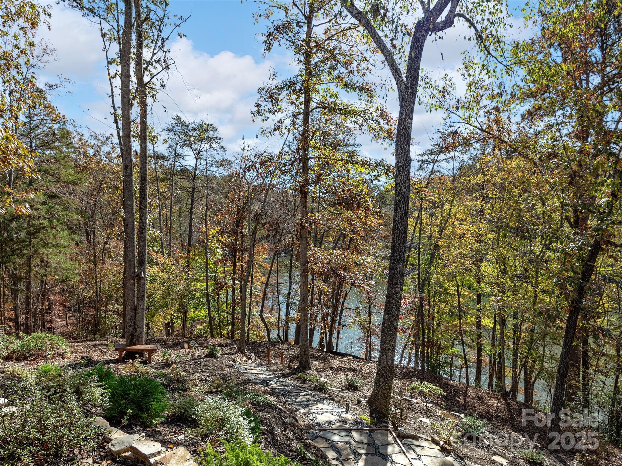 237 North Mountain Lane Mill Spring, NC 28756 - Photo 35 of 43 a view of a forest filled with trees