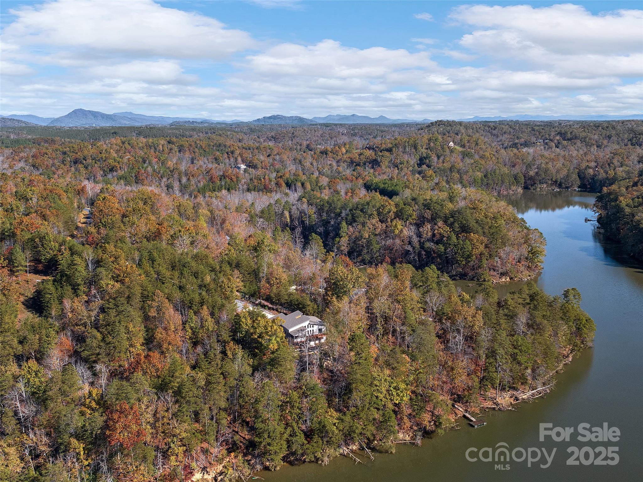 237 North Mountain Lane Mill Spring, NC 28756 - Photo 43 of 43 a view of a city with lush green forest