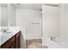 13206 Erwin Road Charlotte, NC 28273 - Photo 12 of 26 a bathroom with a sink and a mirror