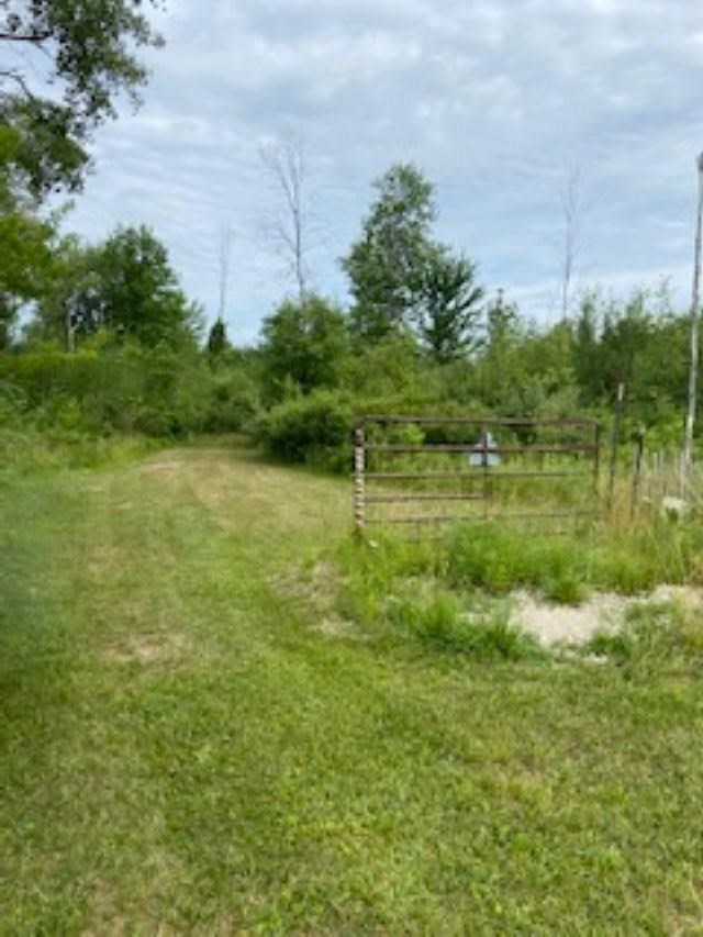 Bard Road Coleman, MI 48618 - Photo 2 of 5
