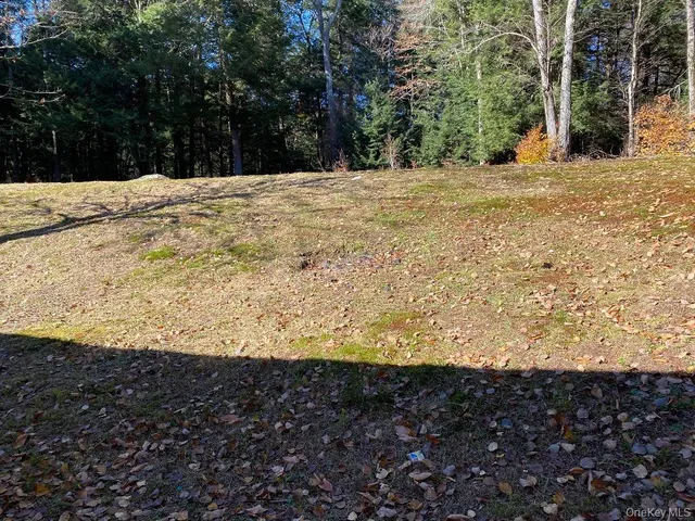 $1,700 | 141 Gale Road, Mongaup Valley, NY 12762