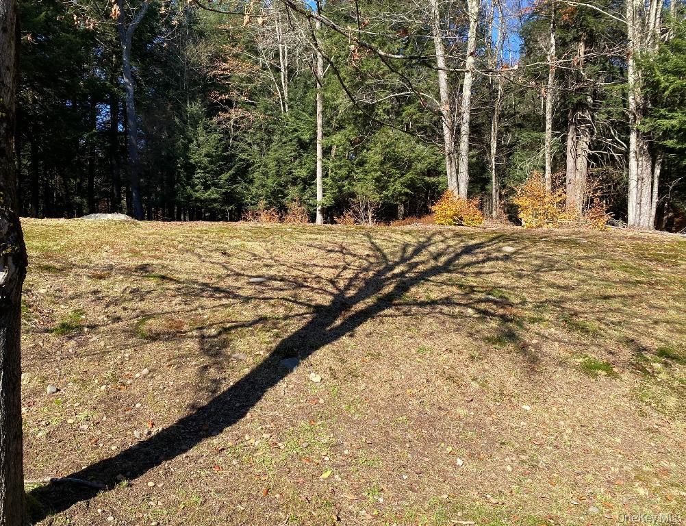 141 Gale Road Mongaup Valley, NY 12762 - Photo 20 of 20 a view of a yard with snow on the road