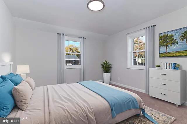 a view of a yard with palm trees