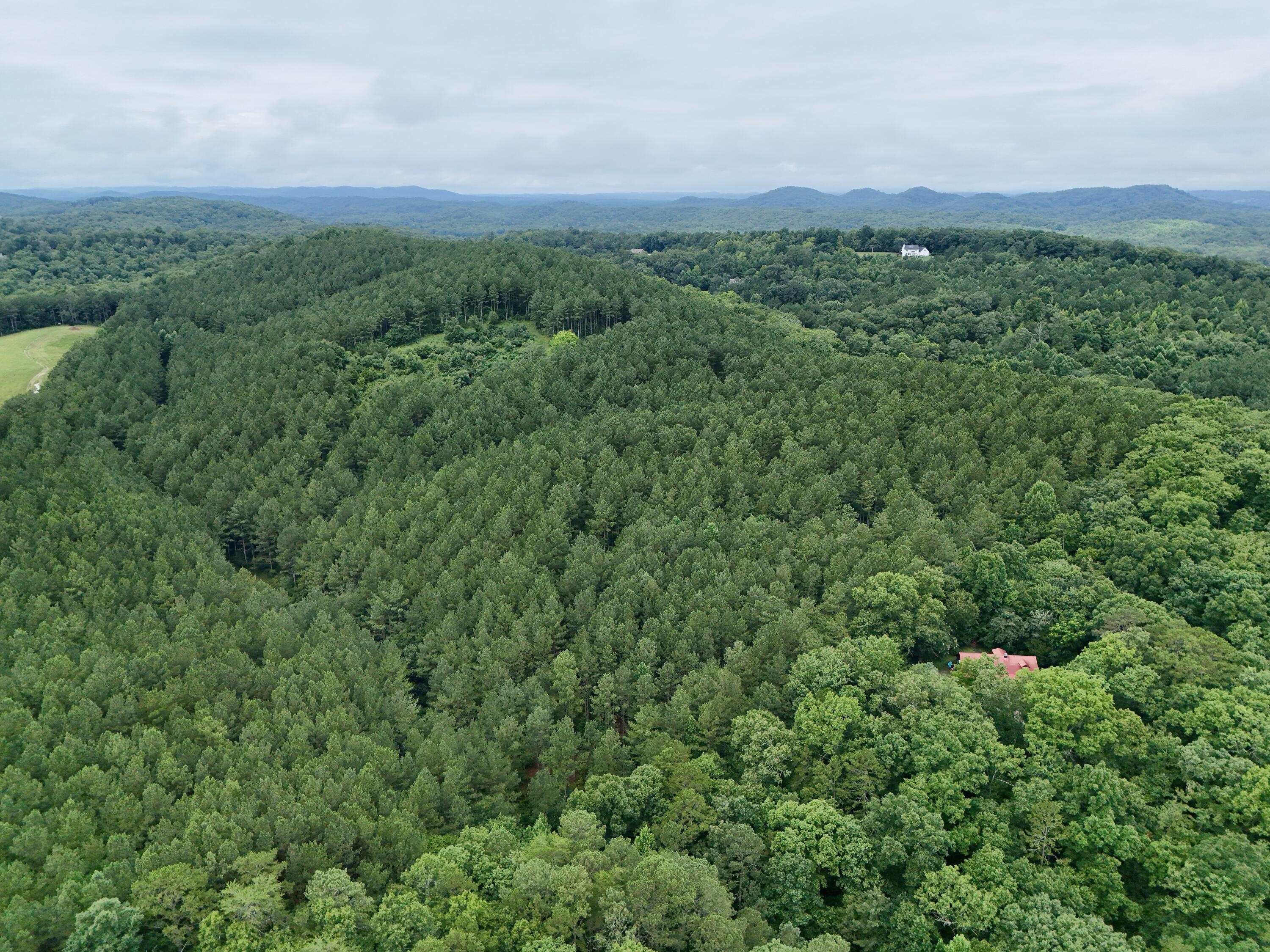 847 Eads Bluff Road Northwest Georgetown, TN 37336 - Photo 28 of 37 6F9FBA69-4A74-4831-A62A-986529EADFF5_1_2