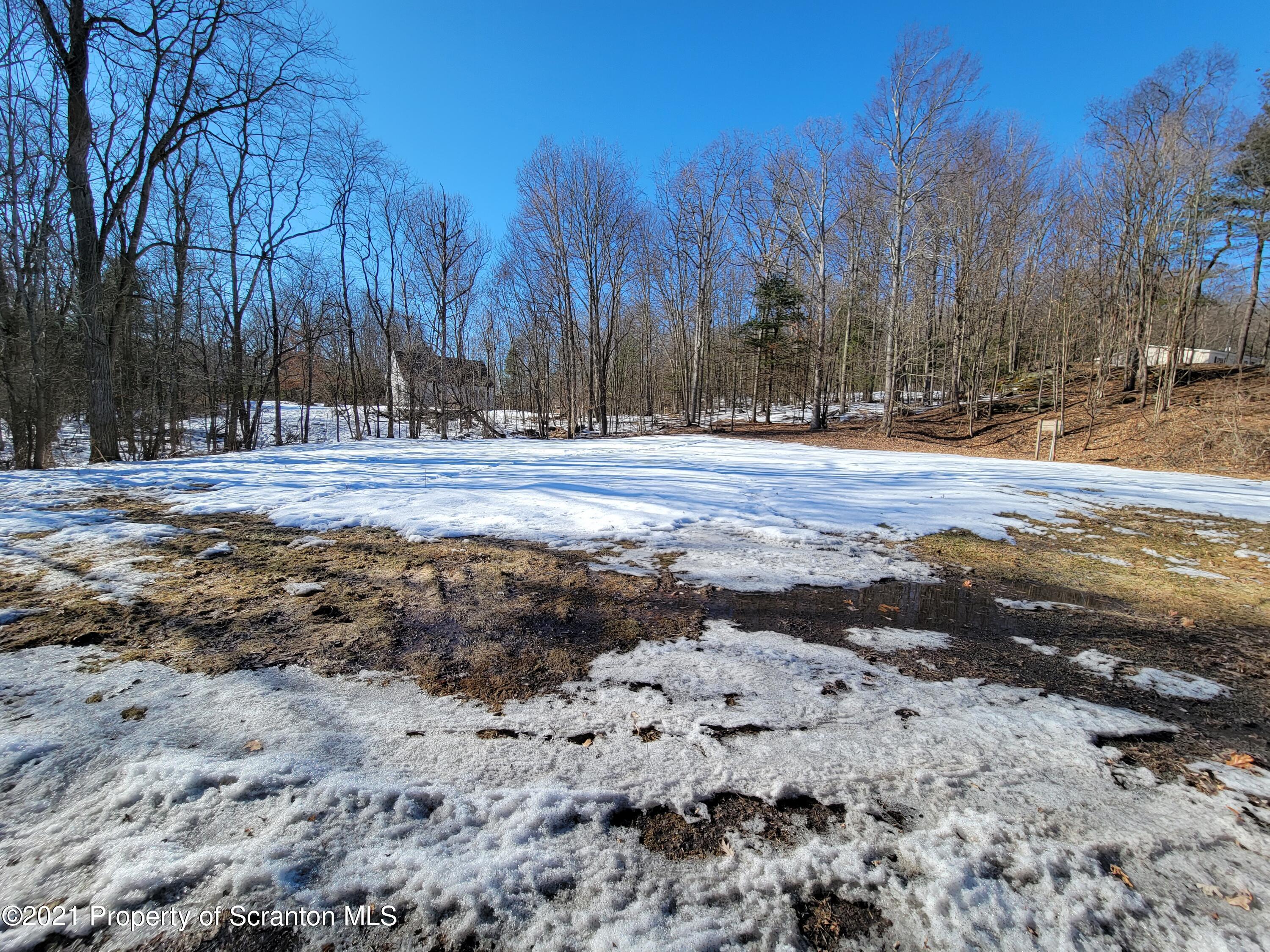 5363 Station Hill Road Nicholson, PA 18446 - Photo 1 of 3 a view of a yard with trees