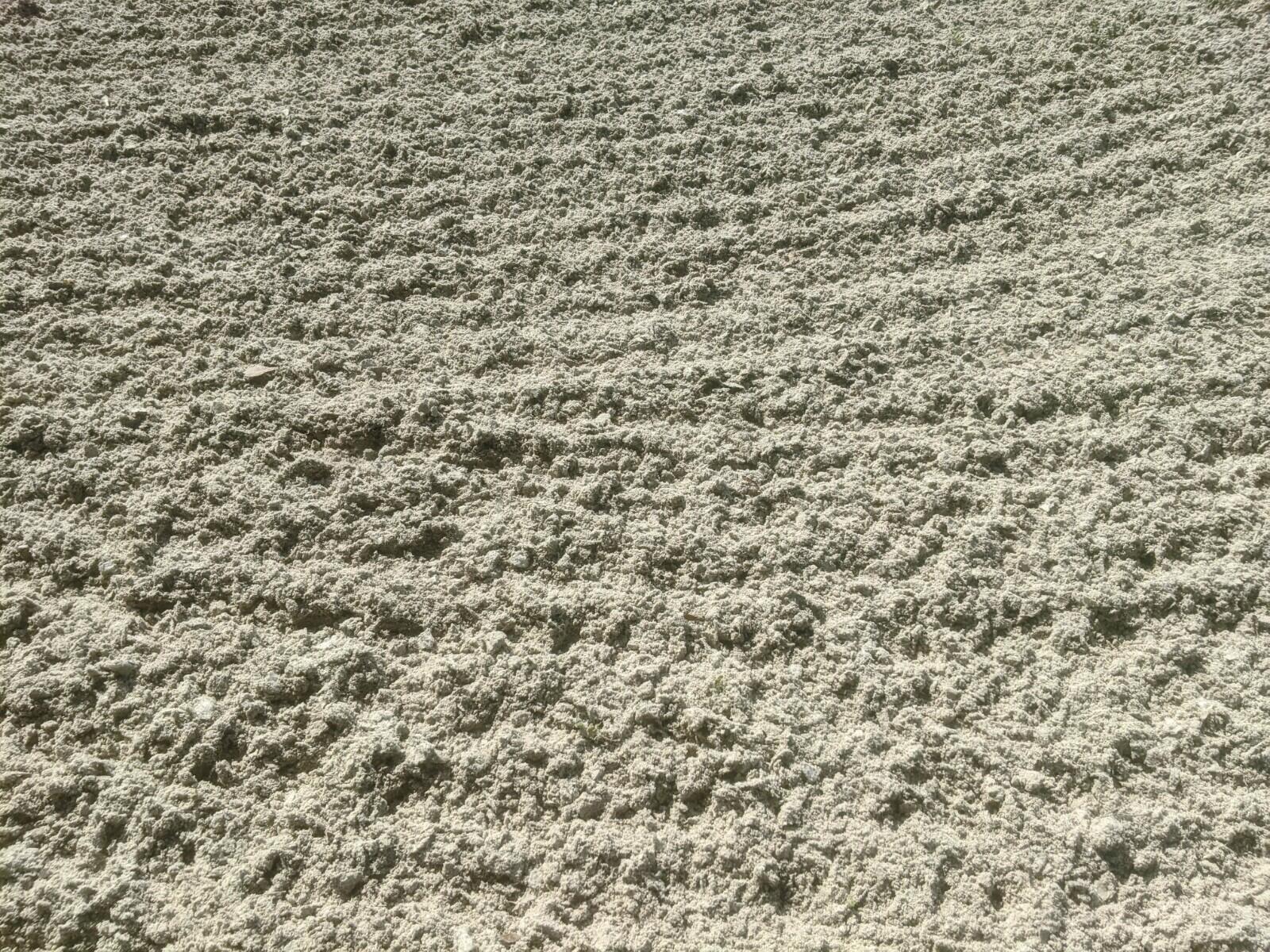 13161 Casey Road, Unit BARN Loxahatchee Groves, FL 33470 - Photo 26 of 34 PXL_20220924_143202422_2