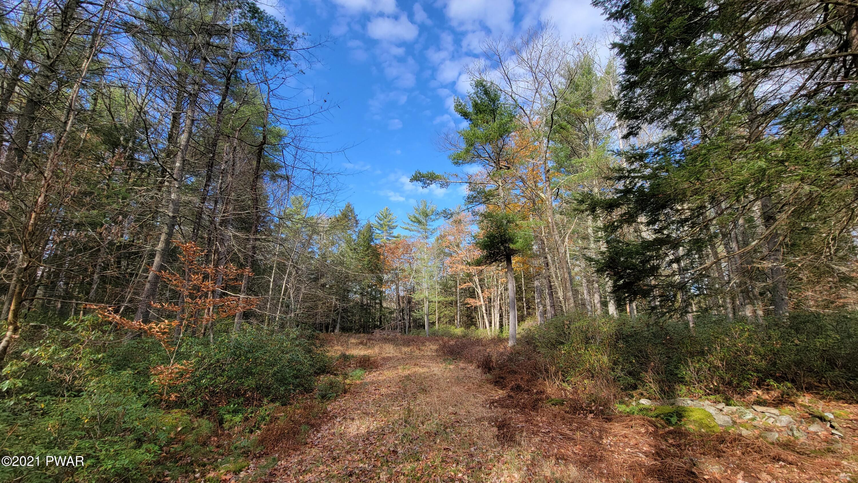 Lot 61 Perry Pond Road Narrowsburg, NY 12764 - Photo 9 of 19