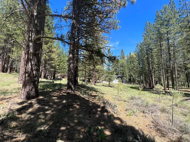 a view of outdoor space with trees