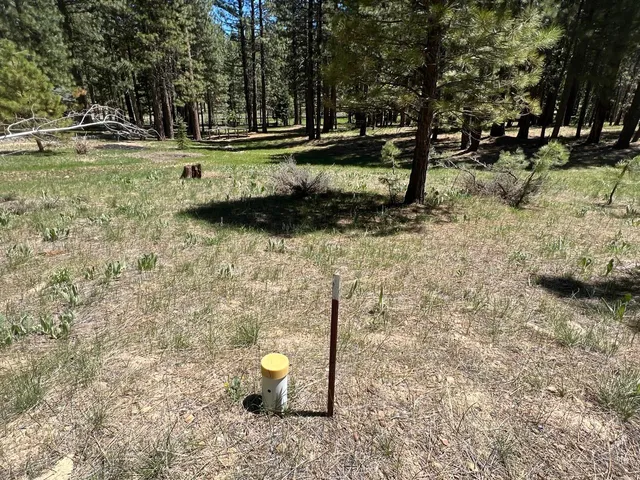 a view of outdoor space with fountain