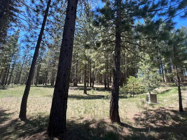 a view of water view