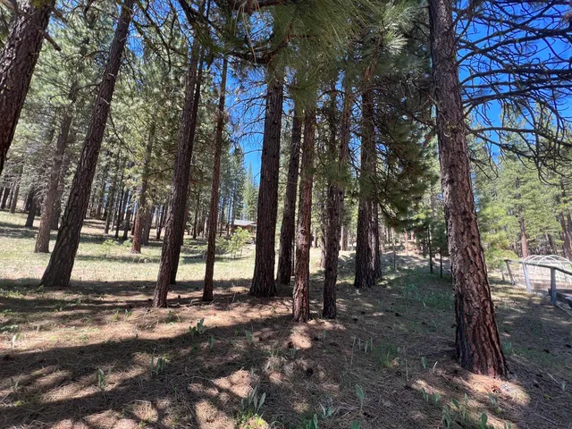 a view of a yard with wooden fence