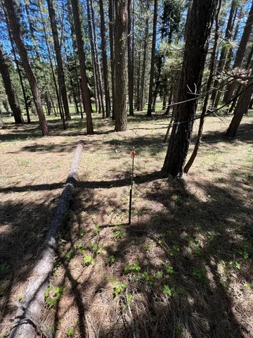 a view of outdoor space with trees