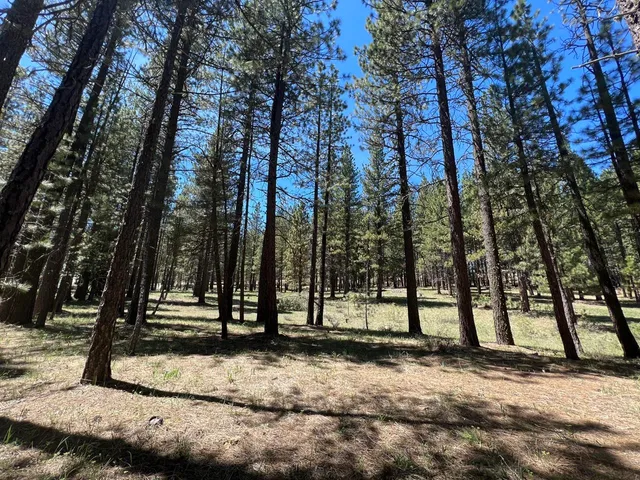a view of outdoor space with trees
