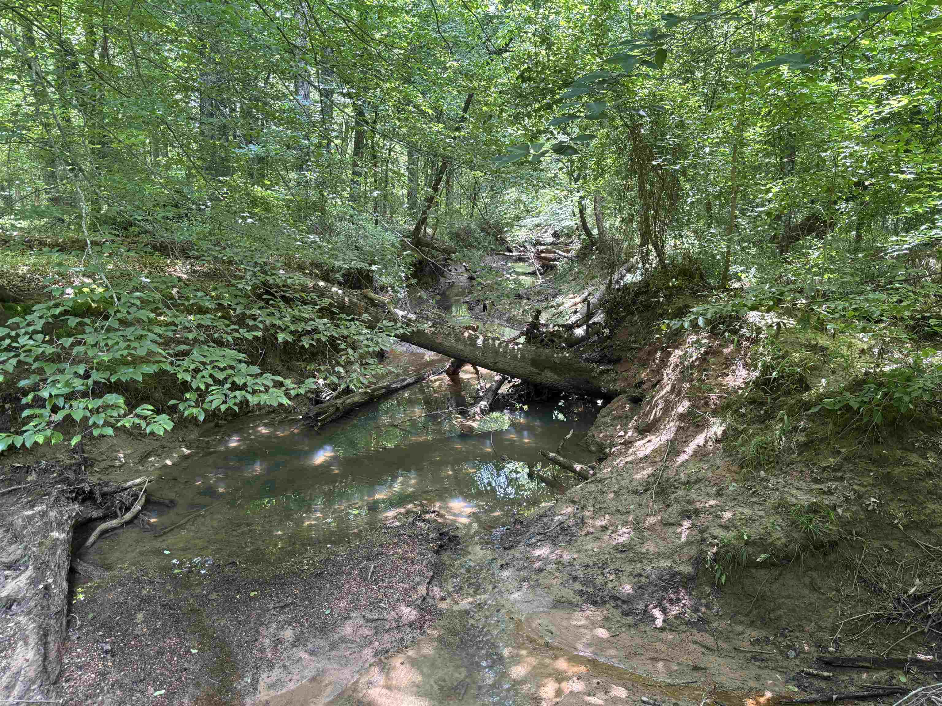 19.5-acres McMahan Road Middleton, TN 38052 - Photo 14 of 28