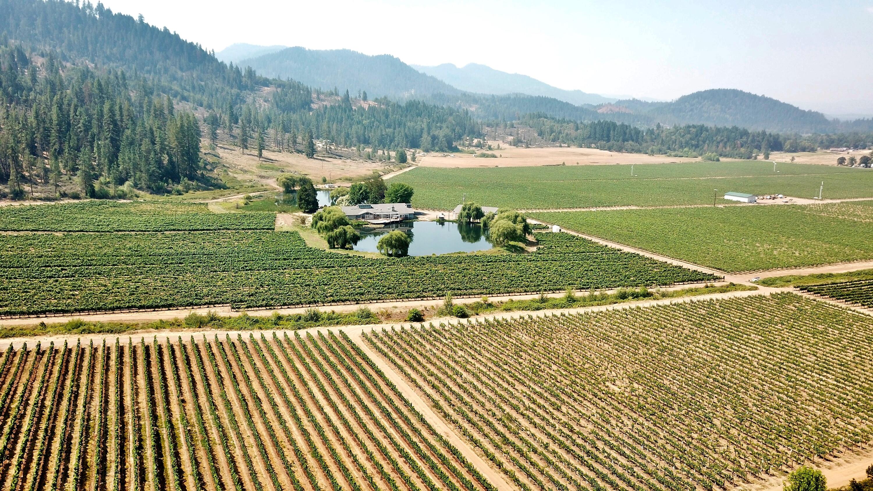 7821 Holland Loop Road Cave Junction, OR 97523 - Photo 14 of 41 DJI_0044
