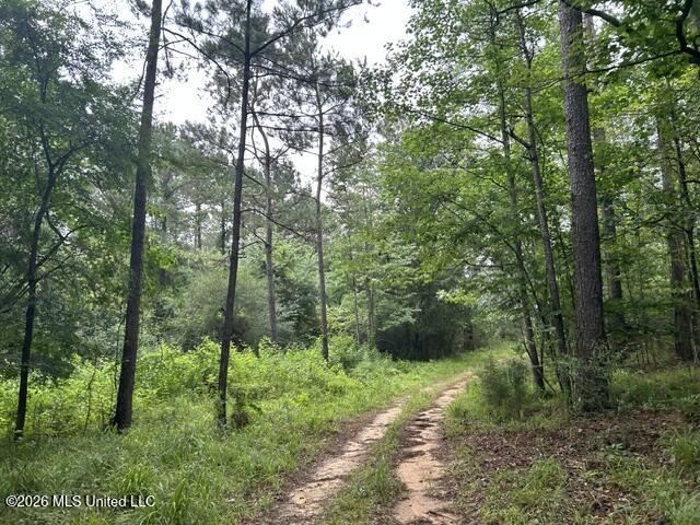 301 Freeman Road Southwest Summit, MS 39666 - Photo 34 of 43 IMG_4620