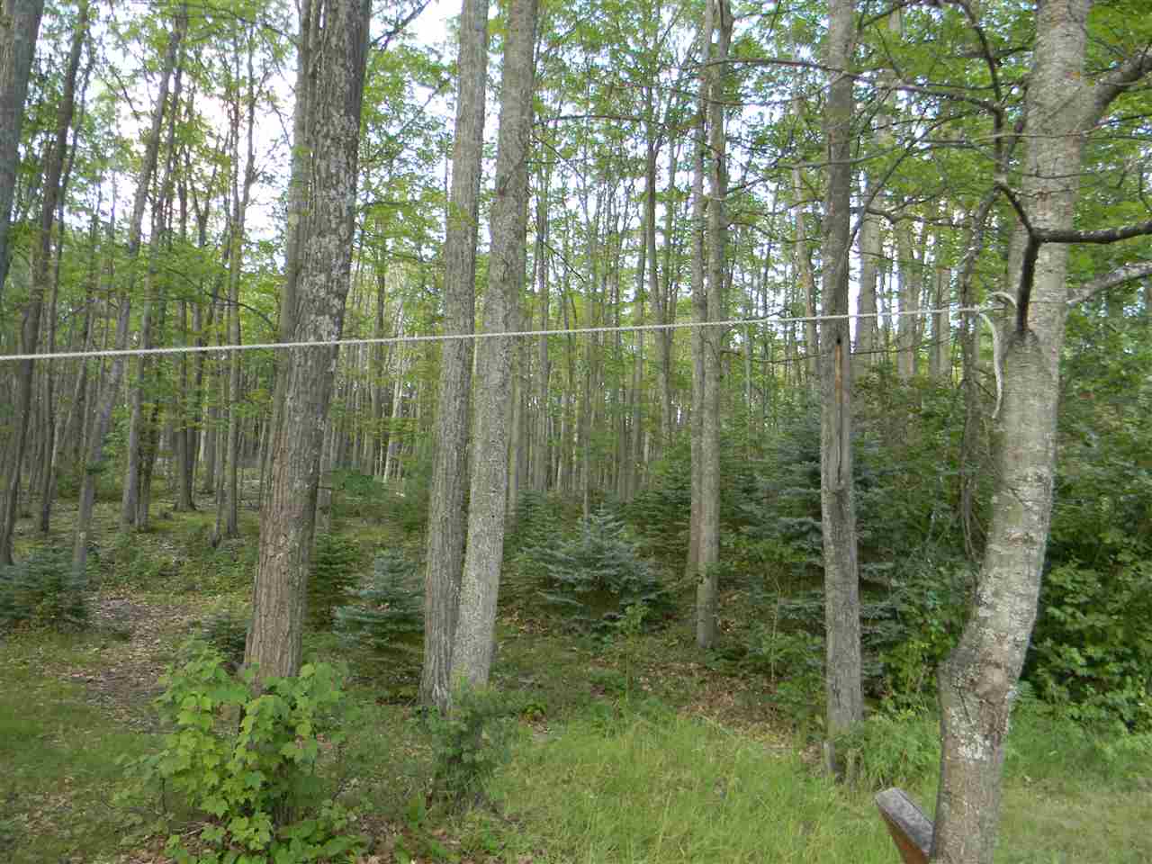 5828 Oak Road Rose City, MI 48654 - Photo 14 of 26 1836794-13.JPG