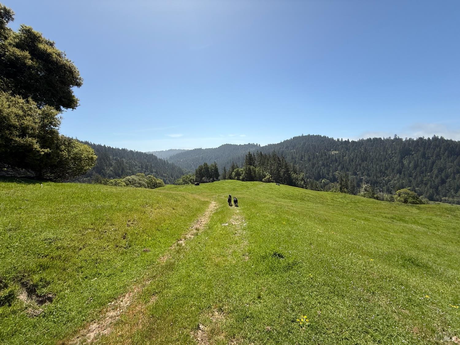 38555 Hauser Bridge Road Cazadero, CA 95421 - Photo 51 of 93