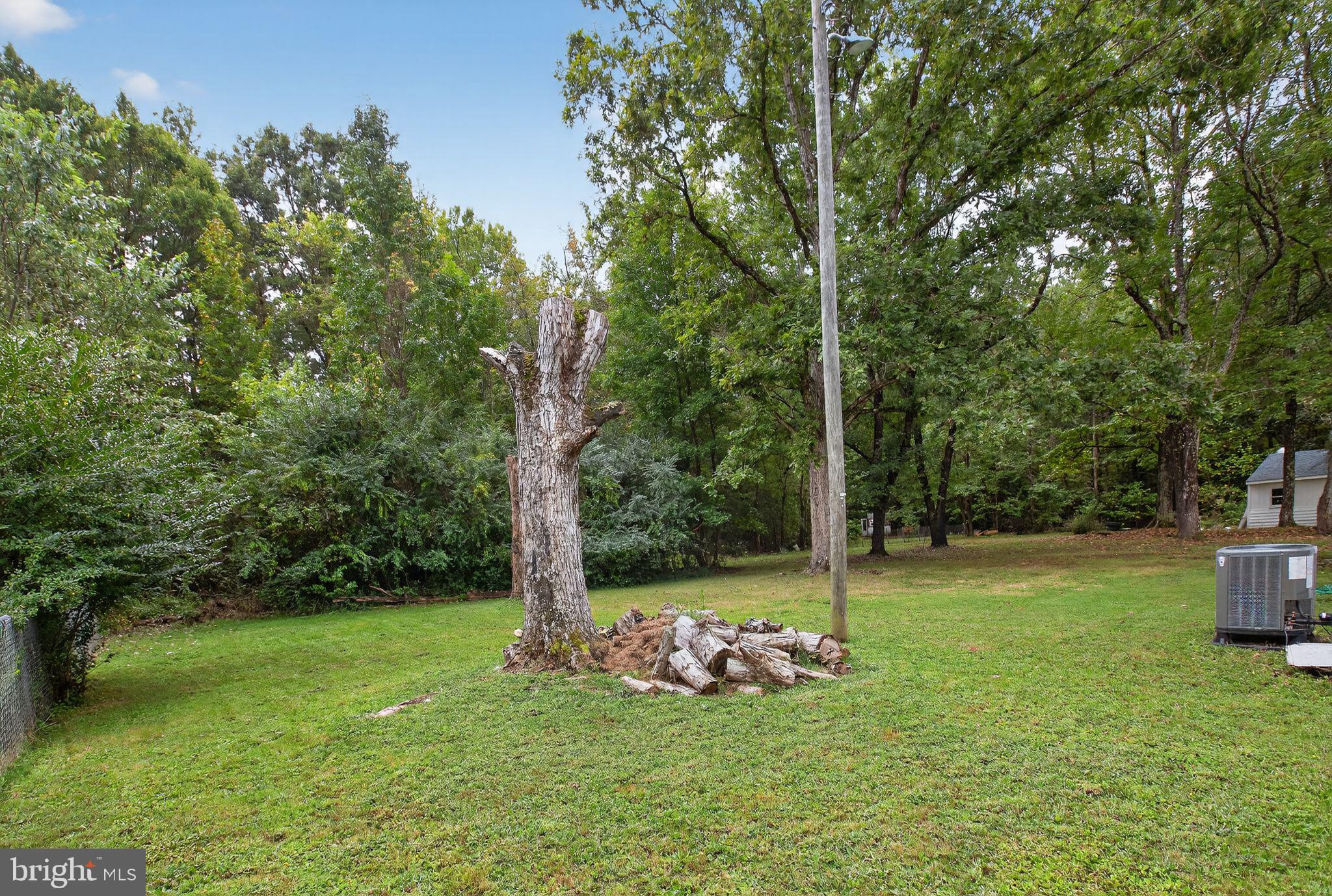 2895 Pomona Road Colonial Beach, VA 22443 - Photo 26 of 29 a view of a park with large trees