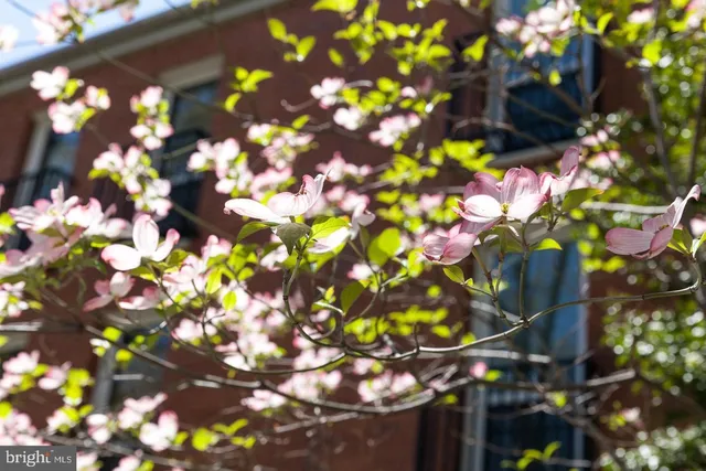 $1,199,737 | 88 V Street Southwest, Unit 201, Washington, DC 20024