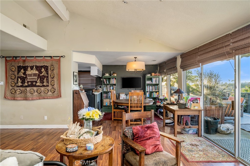 235 Via Ballena San Clemente, CA 92672 - Photo 20 of 51 a living room with furniture a rug and a large window