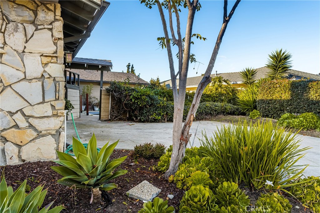 235 Via Ballena San Clemente, CA 92672 - Photo 7 of 51 a view of a backyard with plants