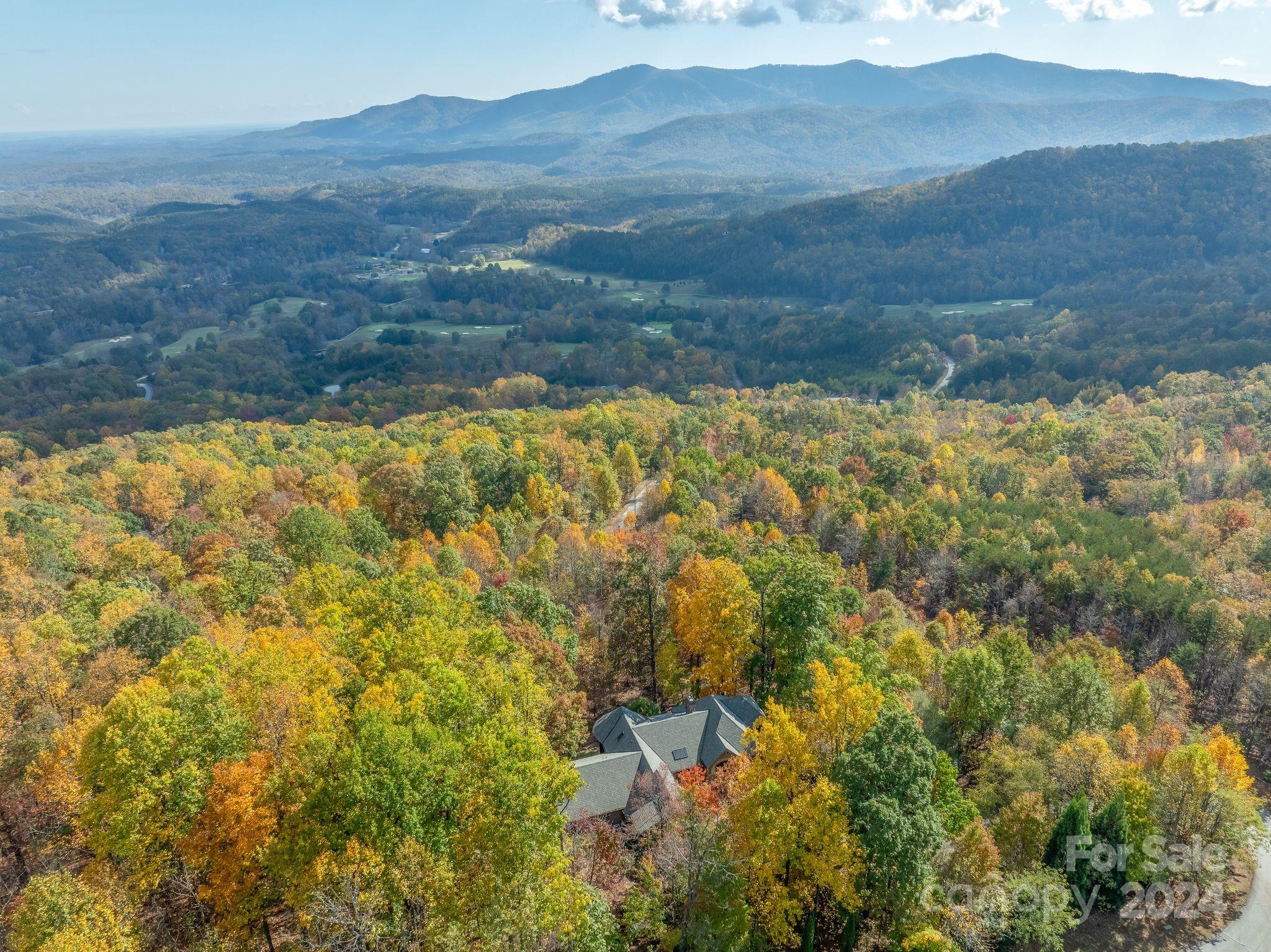 150 Cherry Hill Mill Spring, NC 28756 - Photo 4 of 39 a view of lake with mountain