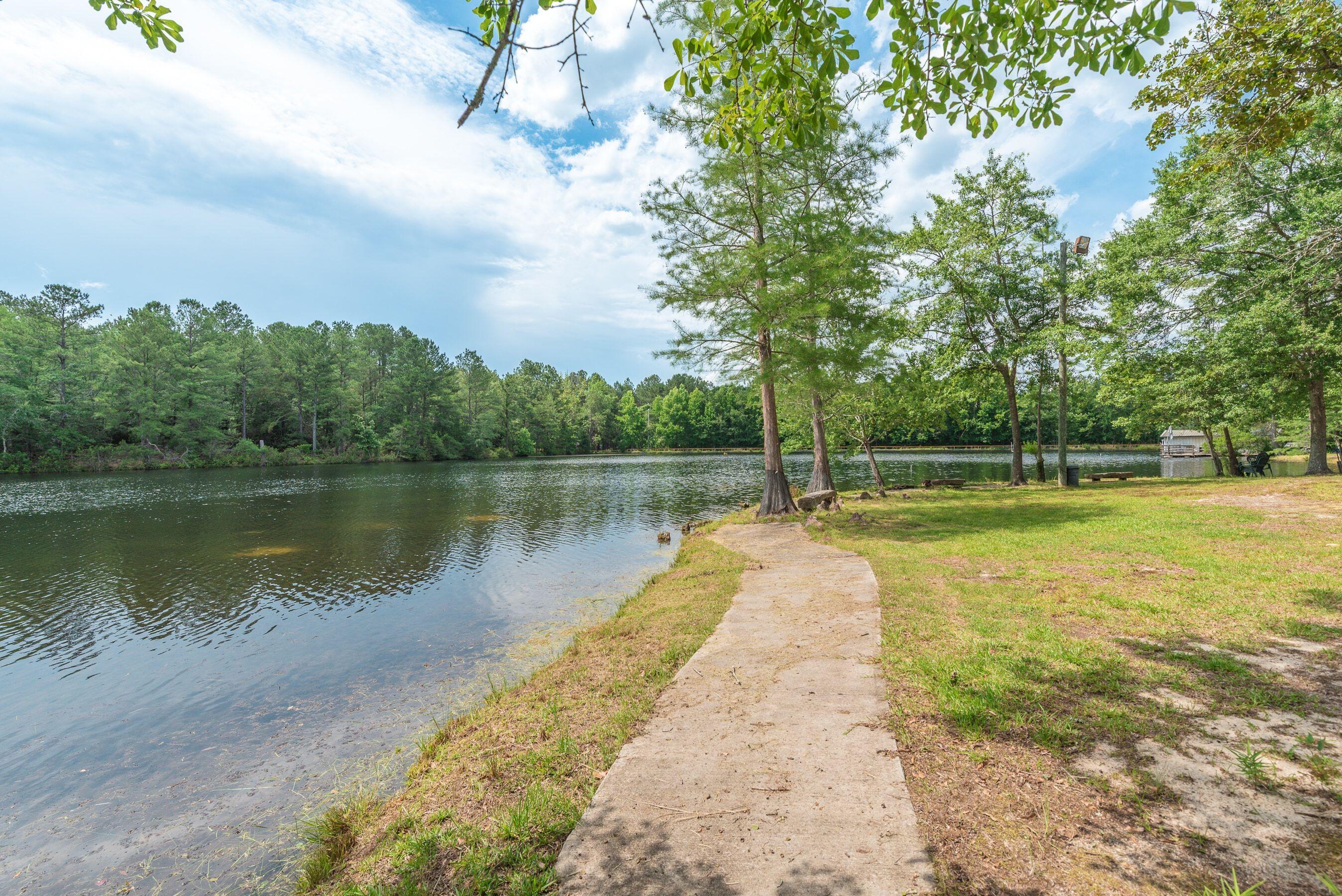 1366 Cummings Road Ridge Spring, SC 29129 - Photo 36 of 150