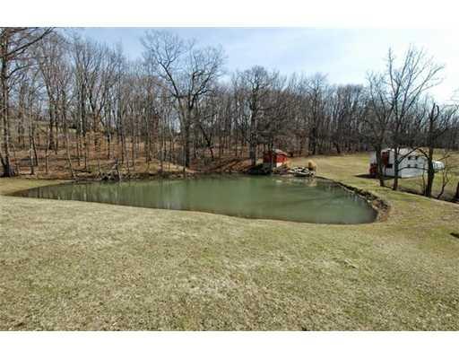 337 Thomas Road Venetia, PA 15367 - Photo 3 of 13 Other. pond.......located on property with out buildings.