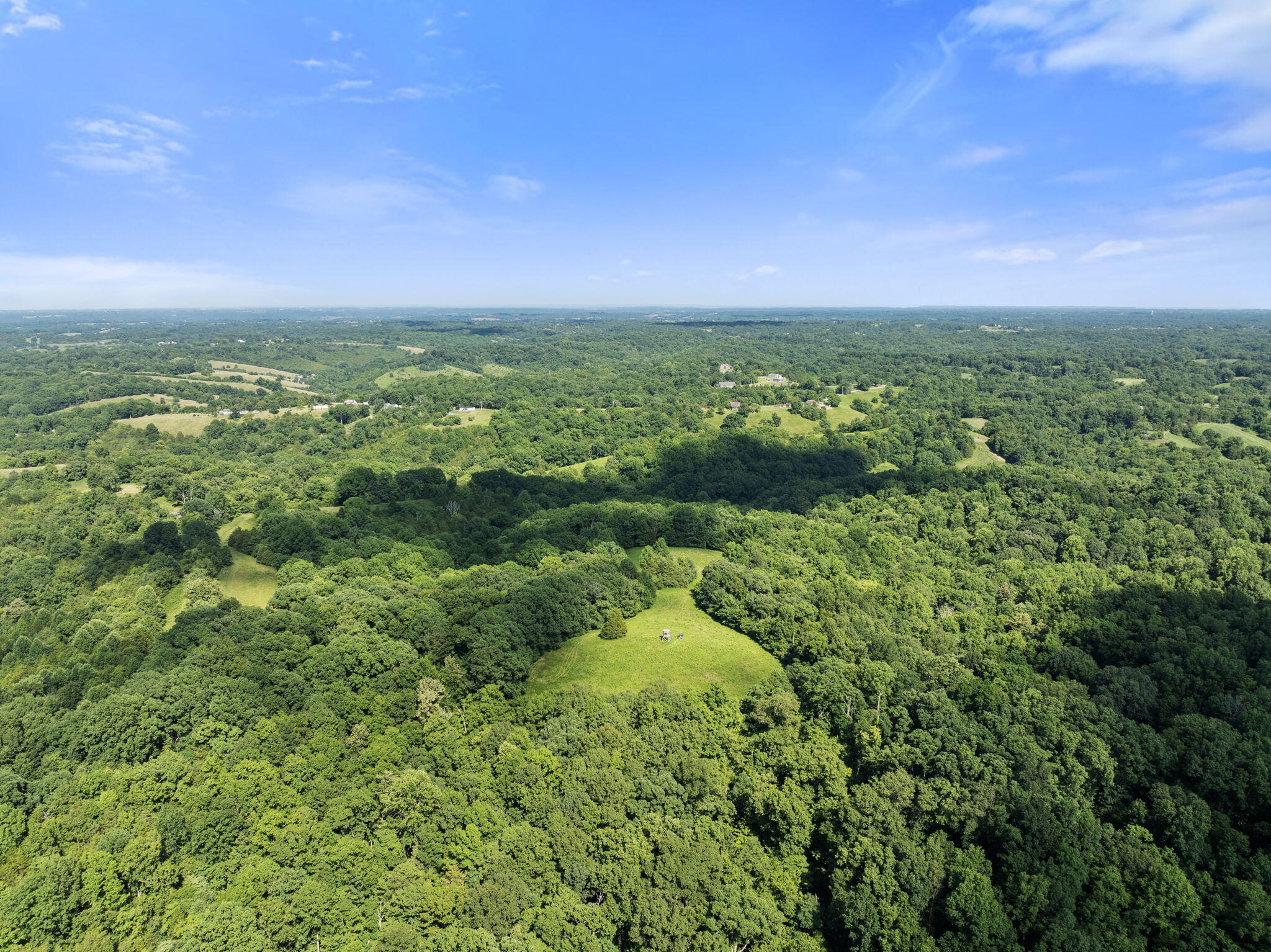 0 Johnson Road Carlisle, KY 40311 - Photo 2 of 18 83 M/L Acres