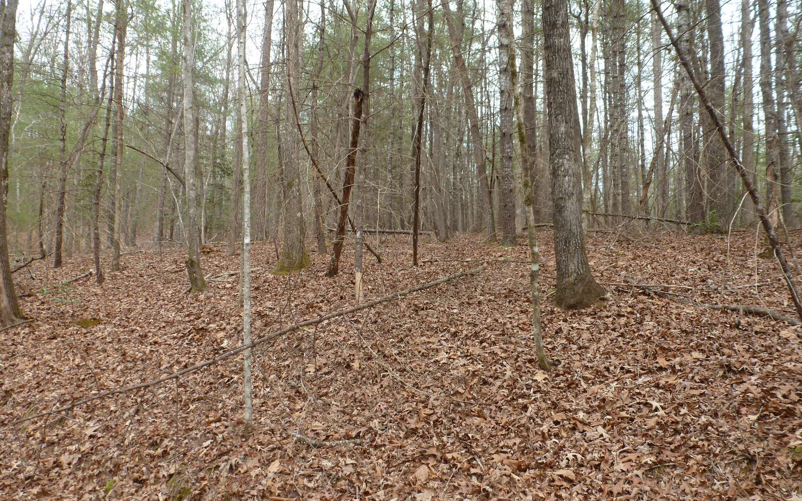 18 Panther Top Road Murphy, NC 28906 - Photo 3 of 4 Additional View