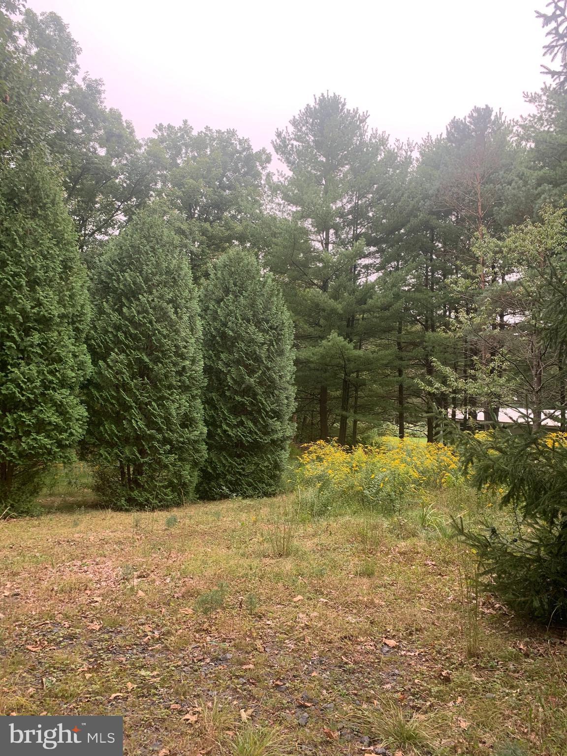 0 Germanville Road Ashland, PA 17921 - Photo 3 of 13