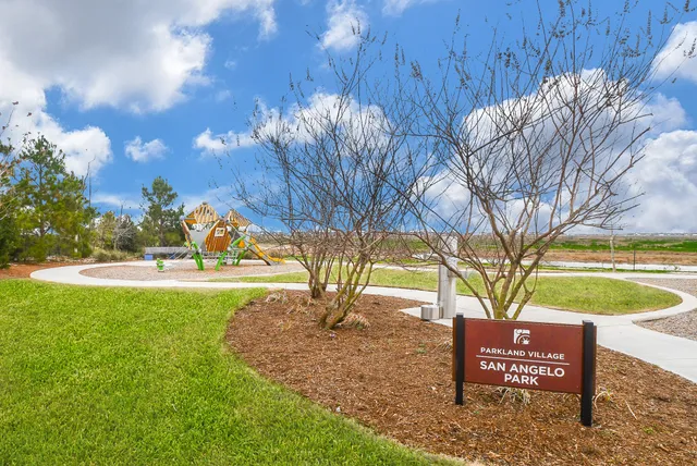 a view of a park with large trees
