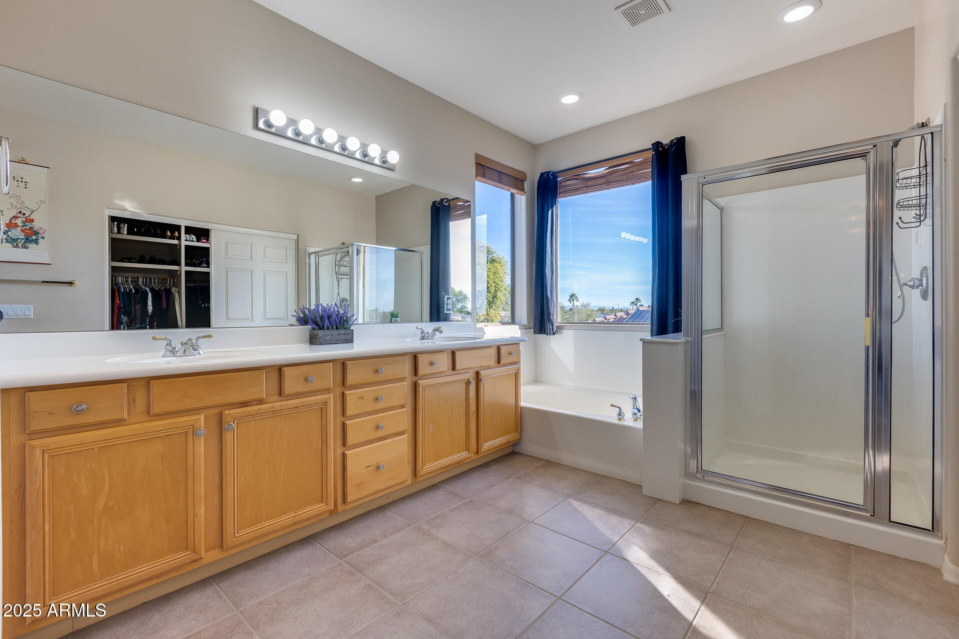 16860 West Northampton Road Surprise, AZ 85374 - Photo 14 of 31 Primary Ensuite