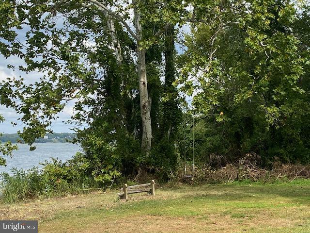 1420 Riverside Drive Bryans Road, MD 20616 - Photo 39 of 39