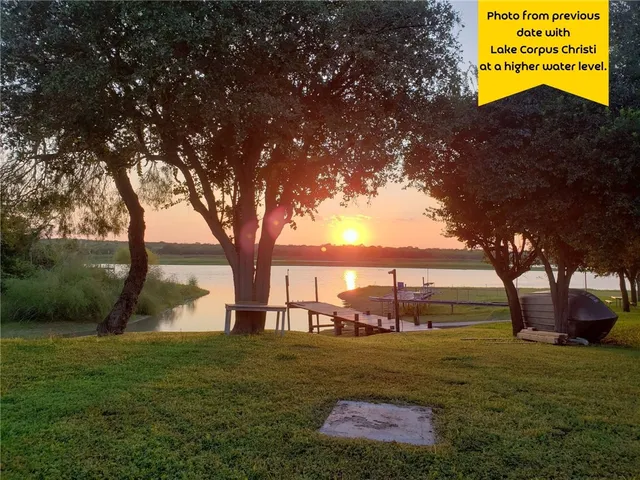 a view of a field with a tree in the background